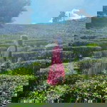 Wallaya Hlongtong profile icon