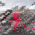 กิ๊ง ก่องงงงงง profile icon