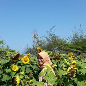 Anthia Dinti profile icon