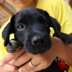 เกวลี profile icon