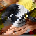 เกวลี profile icon