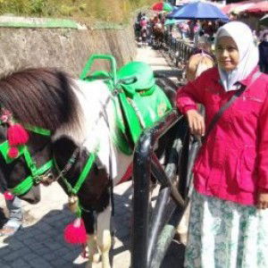 Salamah noah profile icon