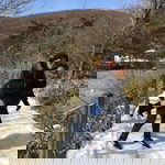 Wunny Mauve profile icon