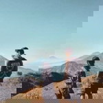 by sifahh profile icon