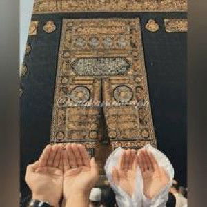 Ingka Mustapa profile icon