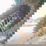 Jum Ilada profile icon