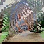 Leahjoy Severino Palomar profile icon