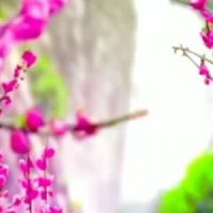 Lhen Lhen profile icon