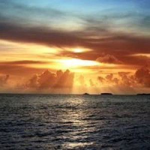 Amoy Cutee profile icon