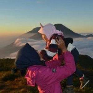 Anisafn profile icon