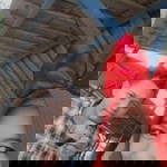 ukasyah hirzan profile icon