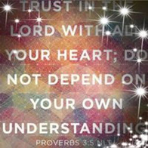 Spice Norm profile icon