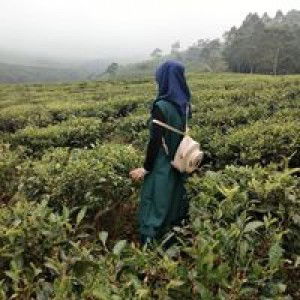 Ummi Nadira Qolby Vodkabilly profile icon