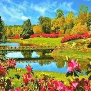 Agustina profile icon