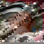 Zizie Babybear profile icon