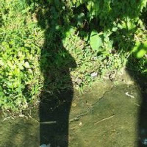 Maui Dela Cruz Natura profile icon