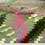 Anita Novianti profile icon