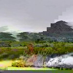 Nurisan Alee Hayeehama profile icon