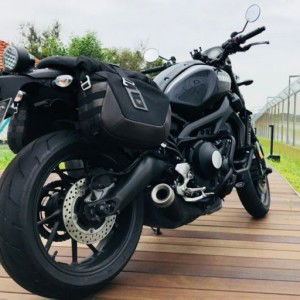 razz berry profile icon