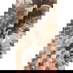 กมลชนก เรือนคํา profile icon