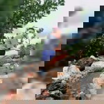 Janet Kohlmorgen profile icon