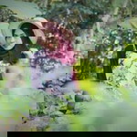 Cha Cha profile icon