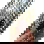 Asti Rapii profile icon