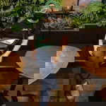 Palaloy YP profile icon