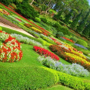 HIDAYAT ZAMRI profile icon