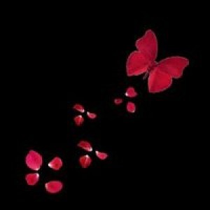 Resshille Ann Salley profile icon