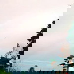 Amal Munirah profile icon