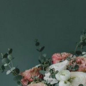 Venice Ann profile icon