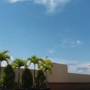 Dewi Tyas profile icon