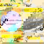 Kulnida Chilsuwan profile icon