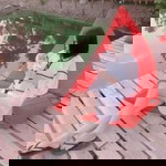 ป๊อบ ชลธิชา profile icon