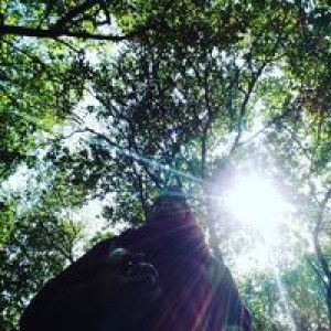 Devi Fitria profile icon