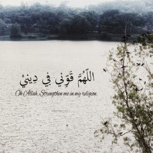 Aseel Arif profile icon