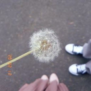 Lenny N profile icon