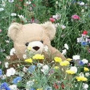 Arisse Light Yagami profile icon