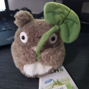 Wanqing Ye profile icon