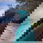 marisa hanafi profile icon