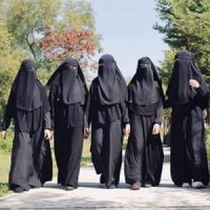 Miftahul Ihsya AnekaBahankue profile icon