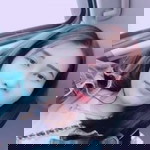 Sayfn Chaimatchim profile icon