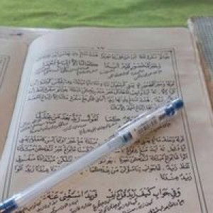 Siti Kulsum profile icon