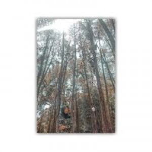 Elly Rourry Aghizta profile icon