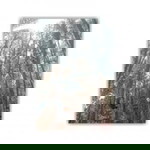 Elly Rourry Aghizta profile icon