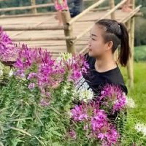 Sopa Koy profile icon