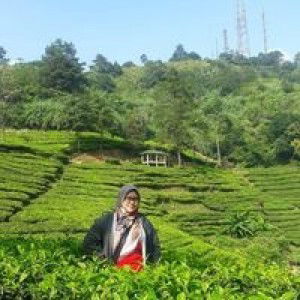 Dian Rusdiana profile icon