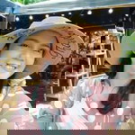 Wassana Srijan profile icon