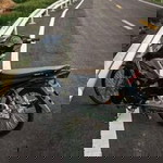 โซเฟีย ยูโซะ profile icon